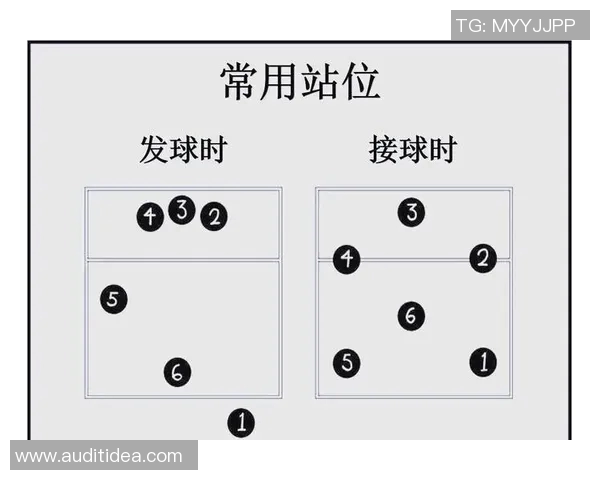 足球与排球的魅力对比:两项运动如何塑造团队精神与个人技能